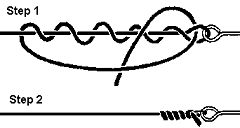 Half Blood Knot to Clinch Knot